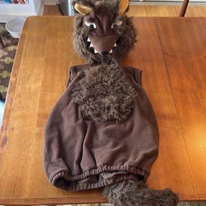 Pottery Barn wolf costume. 4-6 years Halloween